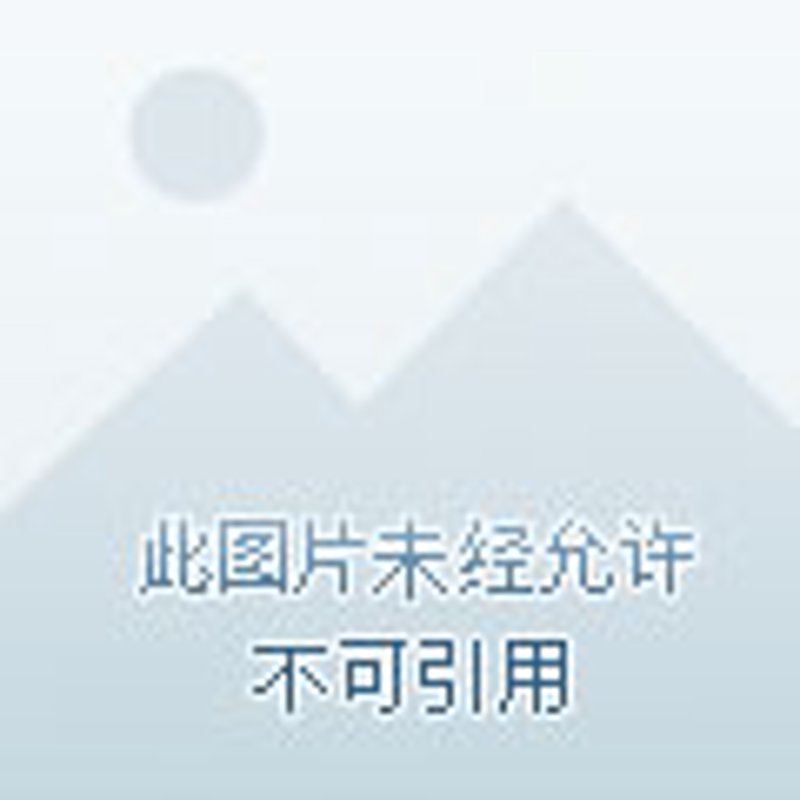 审计师报名入口在哪里？一步步带你找到正确路径