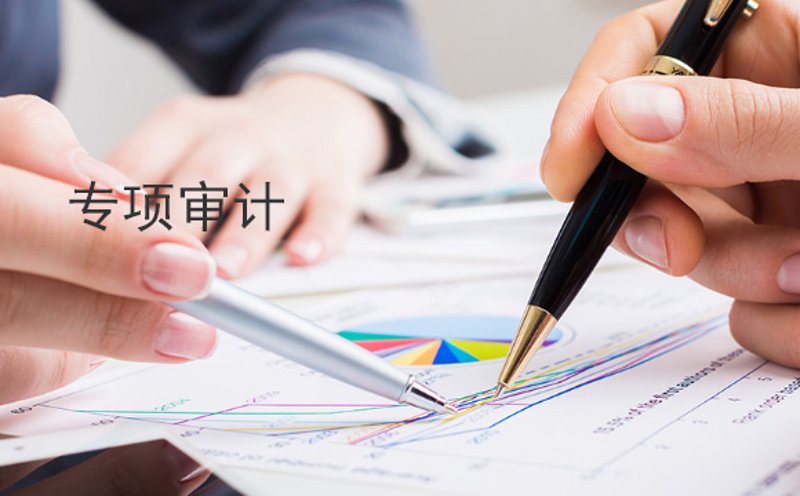 专项审计